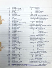A list of birds