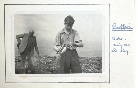 Michael ringing a puffin with his father in the Farne Islands